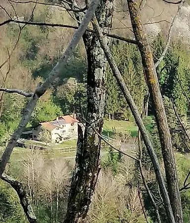 Il Paradiso Delle Beccacce