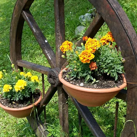 Il Paradiso Delle Beccacce * Popiglio