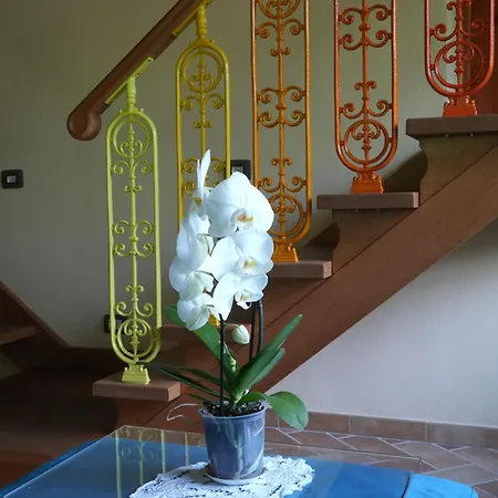 Bed & Breakfast Il Paradiso Delle Beccacce Popiglio