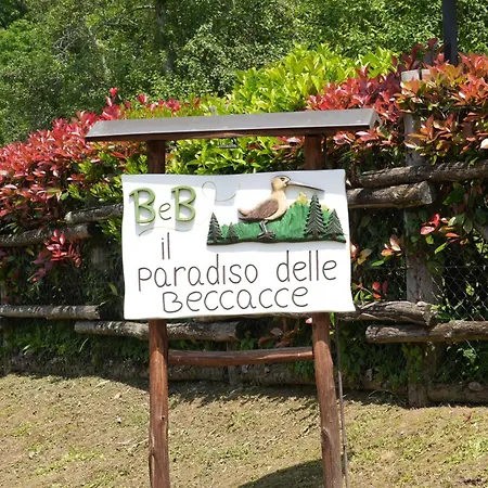 Il Paradiso Delle Beccacce Popiglio