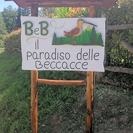Il Paradiso Delle Beccacce