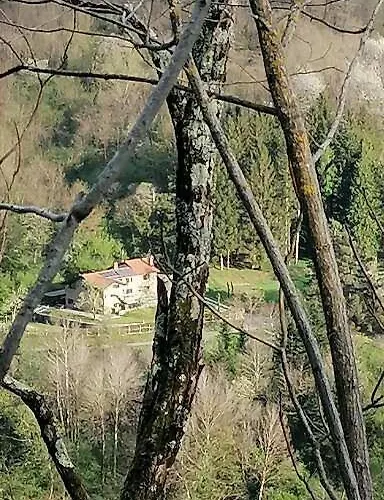 Il Paradiso Delle Beccacce